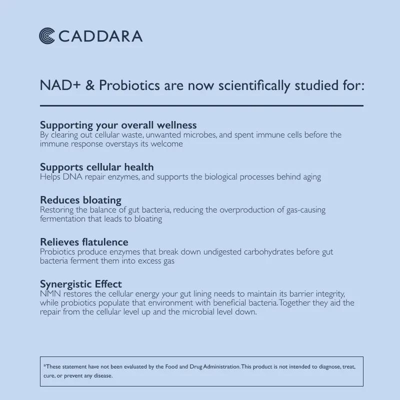Caddara Elevate Liposomal NAD+