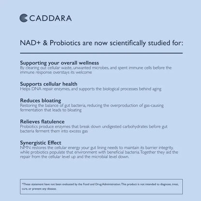 Caddara Elevate Liposomal NAD+
