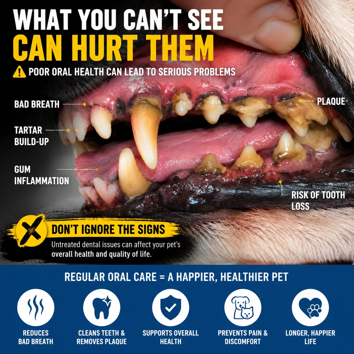 Healthzeri Daily Dental Care Tablets