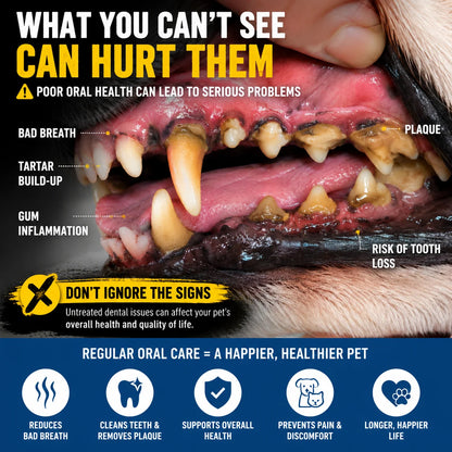 Healthzeri Daily Dental Care Tablets