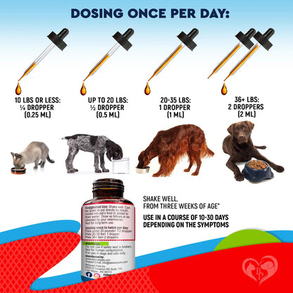 Natural Herbal Support for Dogs, Puppies, Cats & Kittens