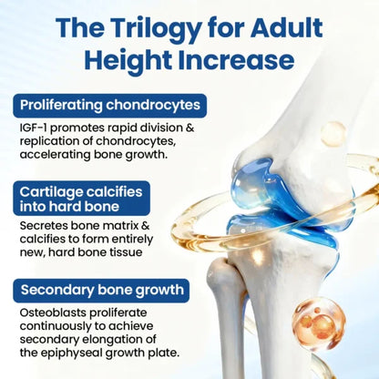 TAILEDEN® GH-Support Height Spray