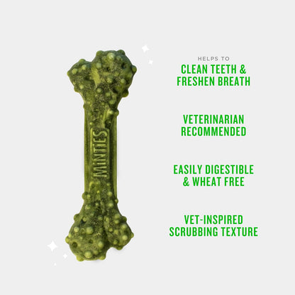 MINTIES Dog Dental Bone Treats