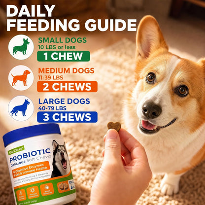 OurCares Probiotic Delicious Soft Chews for Dogs
