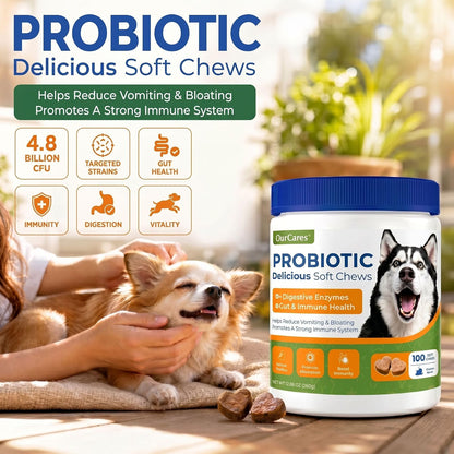 OurCares Probiotic Delicious Soft Chews for Dogs