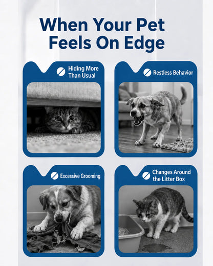 Calming Pheromone Diffuser for Cats &Dogs