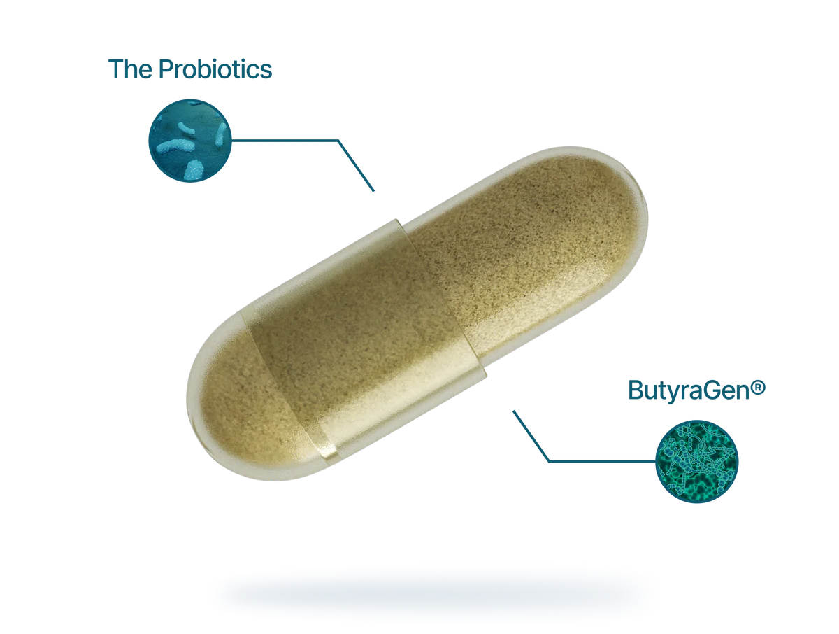 Restore Synbiotic
