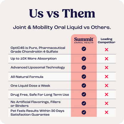 Joint & Mobility Liquid for Cats