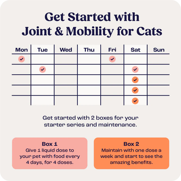 Joint & Mobility Liquid for Cats