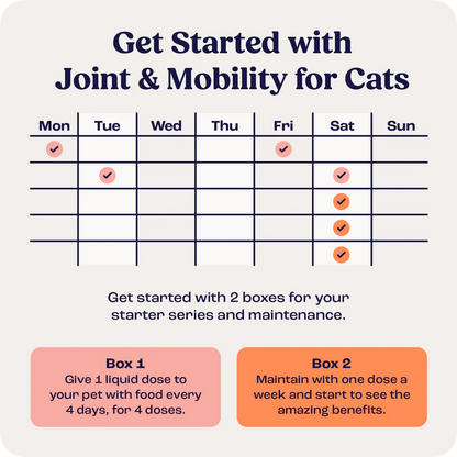 Joint & Mobility Liquid for Cats