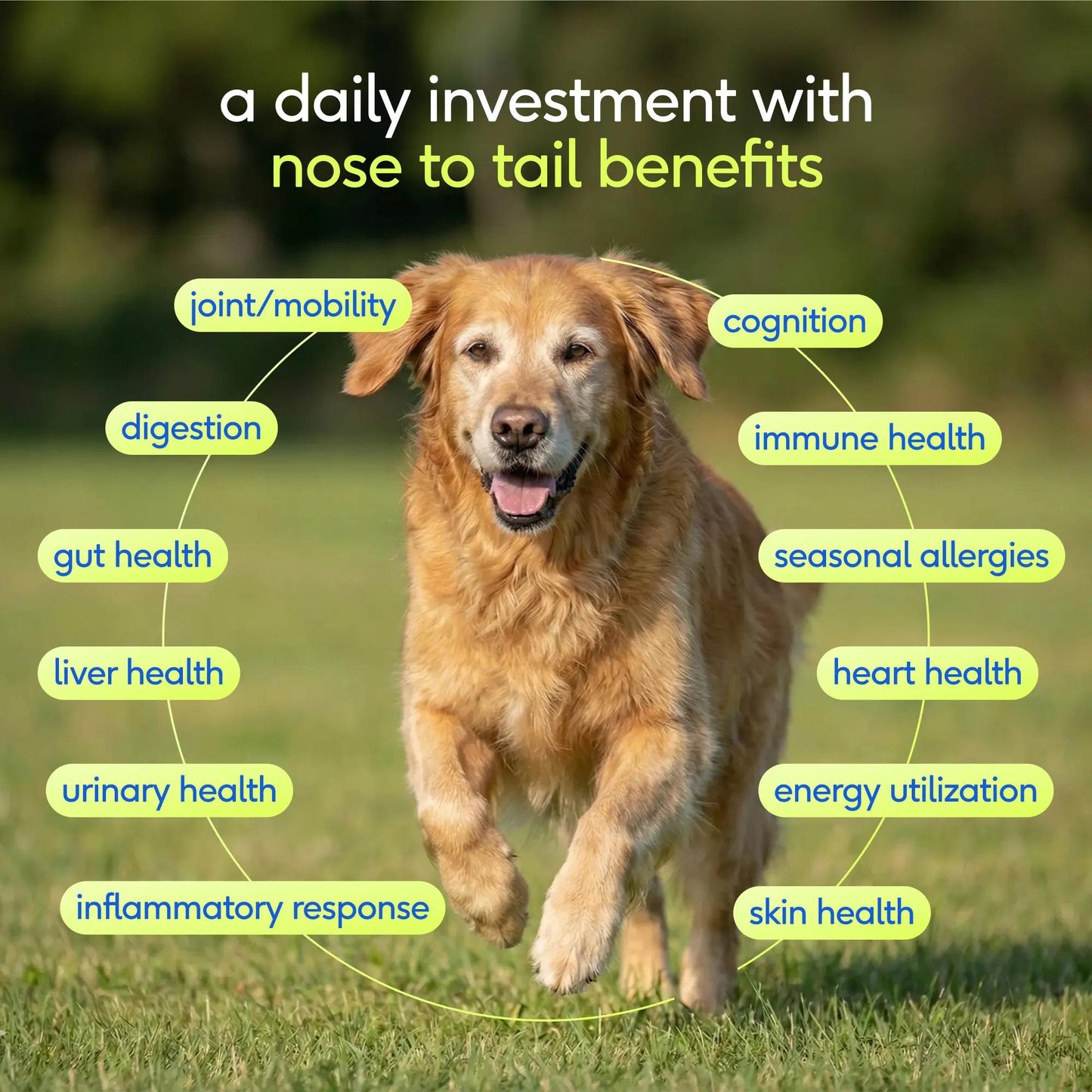 Native Pet Senior Dog Vitamins & Supplements