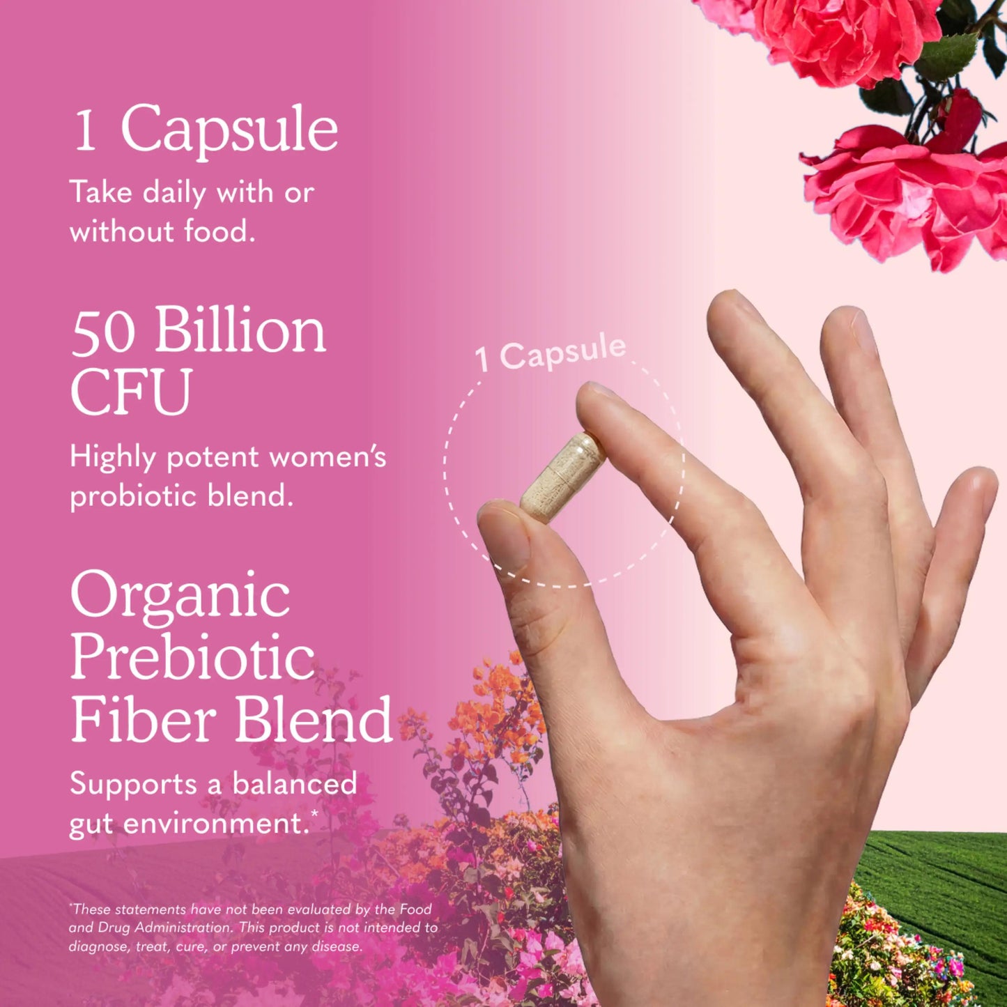 Women's Multi & Probiotic Bundle
