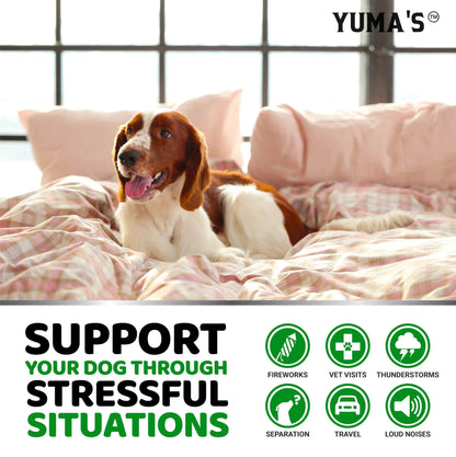 Hemp Calming Chews for Dogs