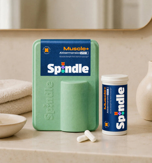 Spindle Muscle+