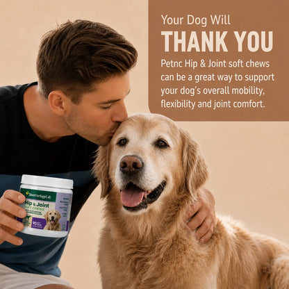 GoldenStride Hip & Joint Soft Chews